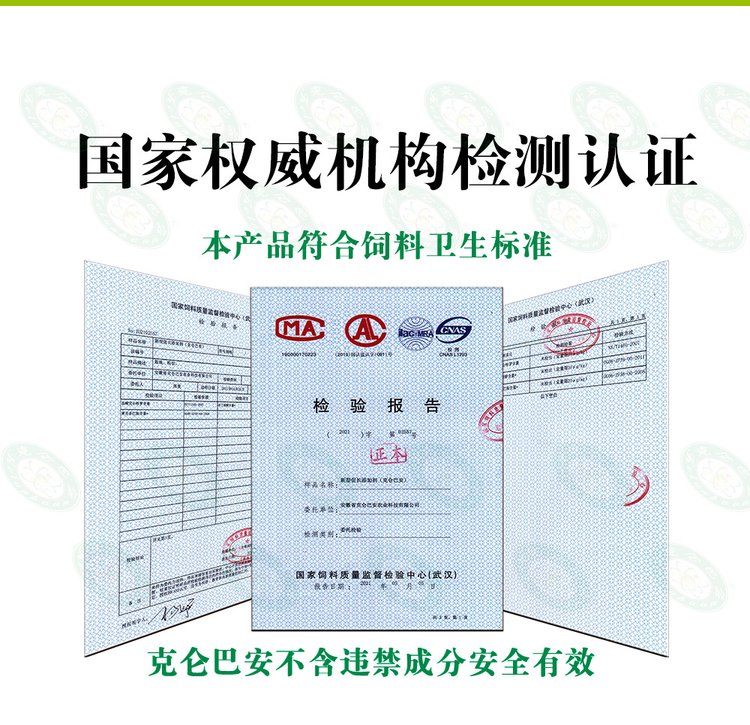 PmKp6867aYmpIu3P9qWZqhACHsg.jpg