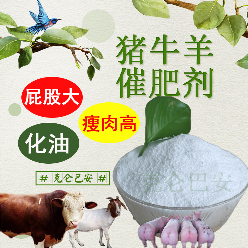 克倫巴安（純粉）