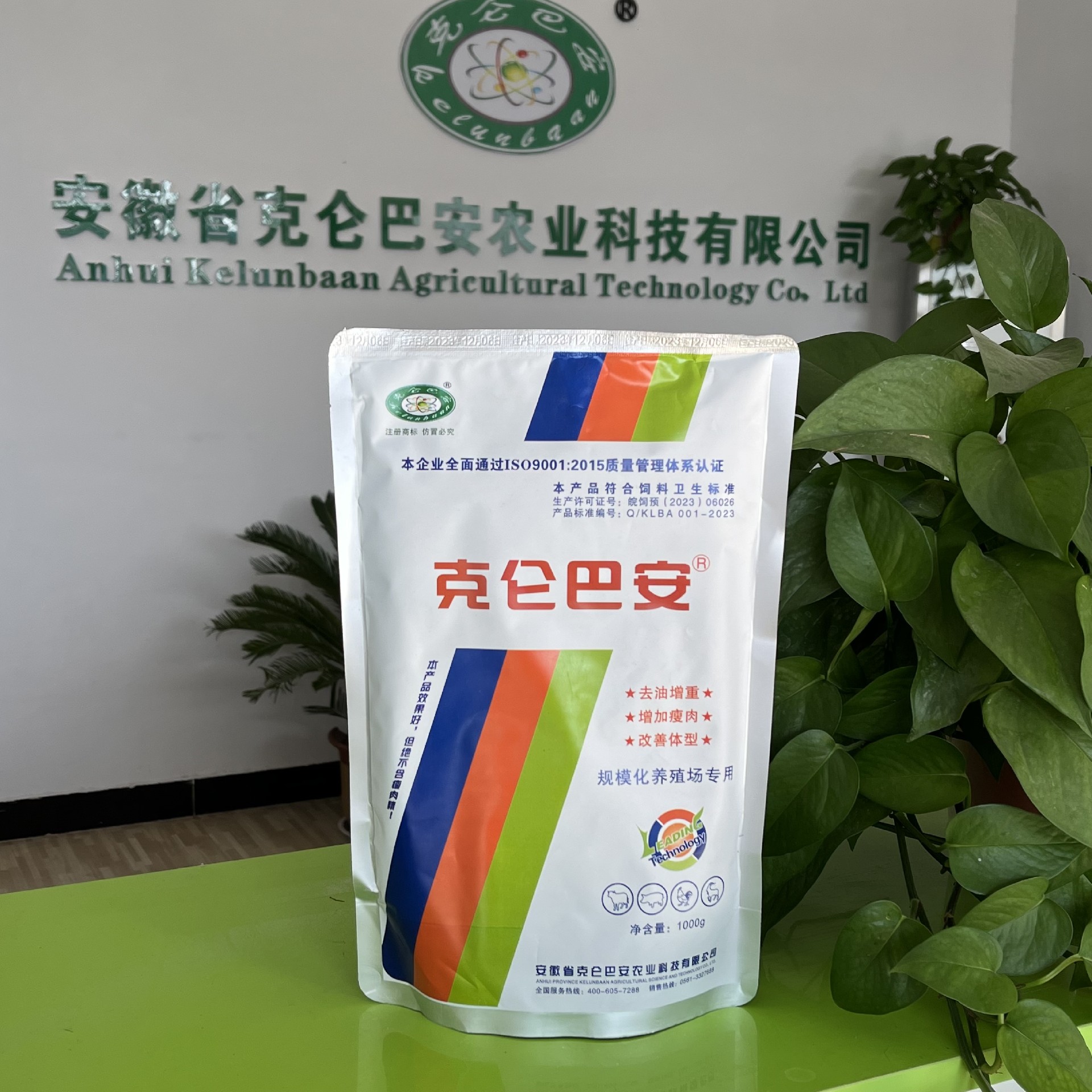 1比1場景圖.jpg